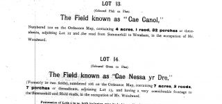 Gatewen_Hall_Wrexham_Sales _Particulars_23.2.1910_Page_6